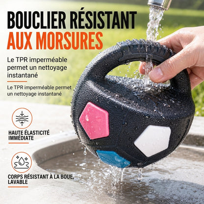 Balle de foot interactive pour chien avec poignées de préhension