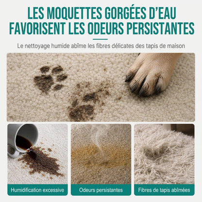 Nettoyez instantanément tapis et canapés ! Mousse nettoyante pour tissus sans eau