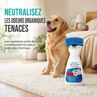 Nettoyez instantanément tapis et canapés ! Mousse nettoyante pour tissus sans eau